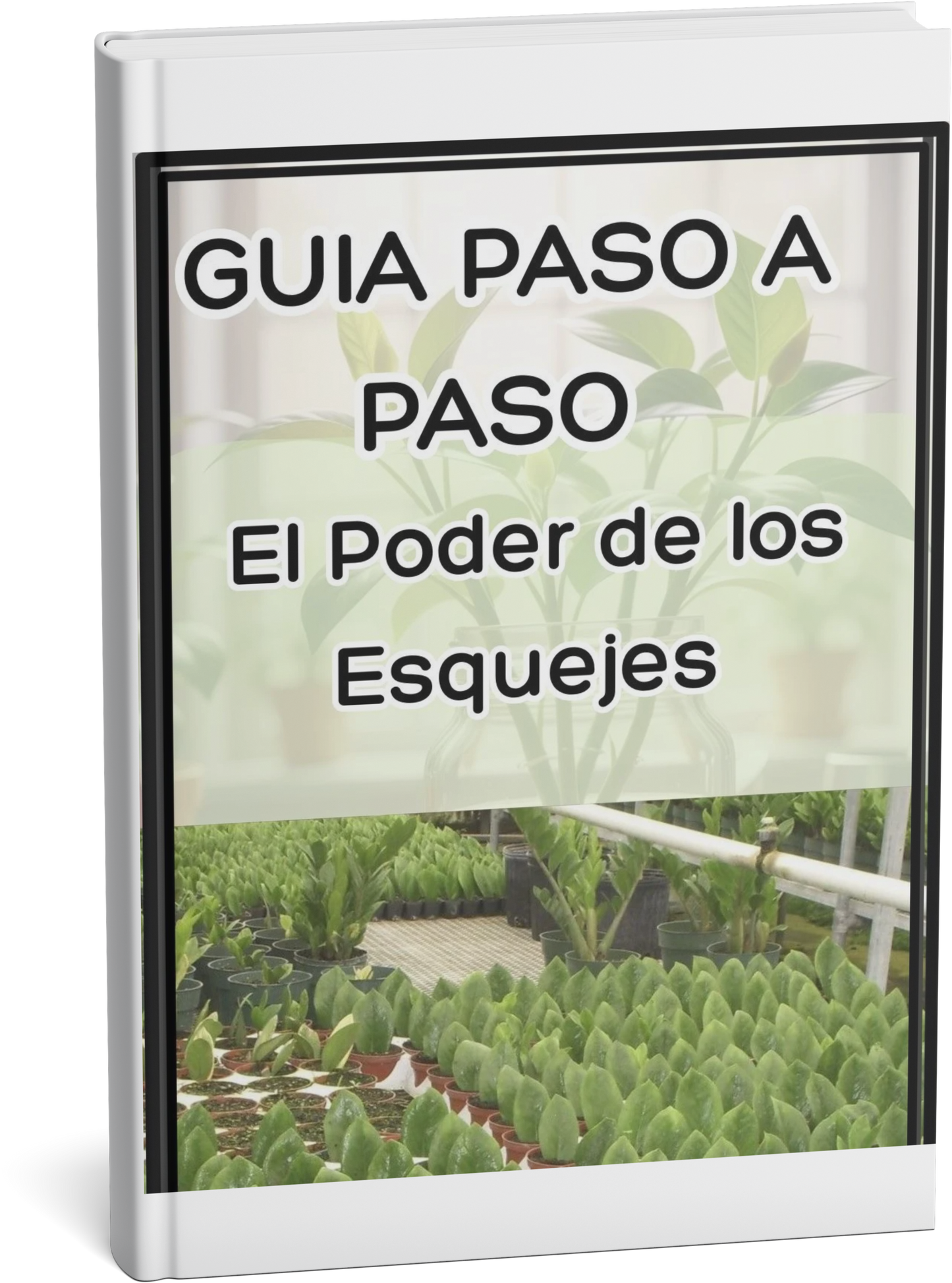 Multiplica tu Jardín: La Ciencia de los Esquejes al Alcance de Todos