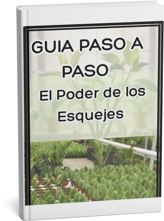Multiplica tu Jardín: La Ciencia de los Esquejes al Alcance de Todos